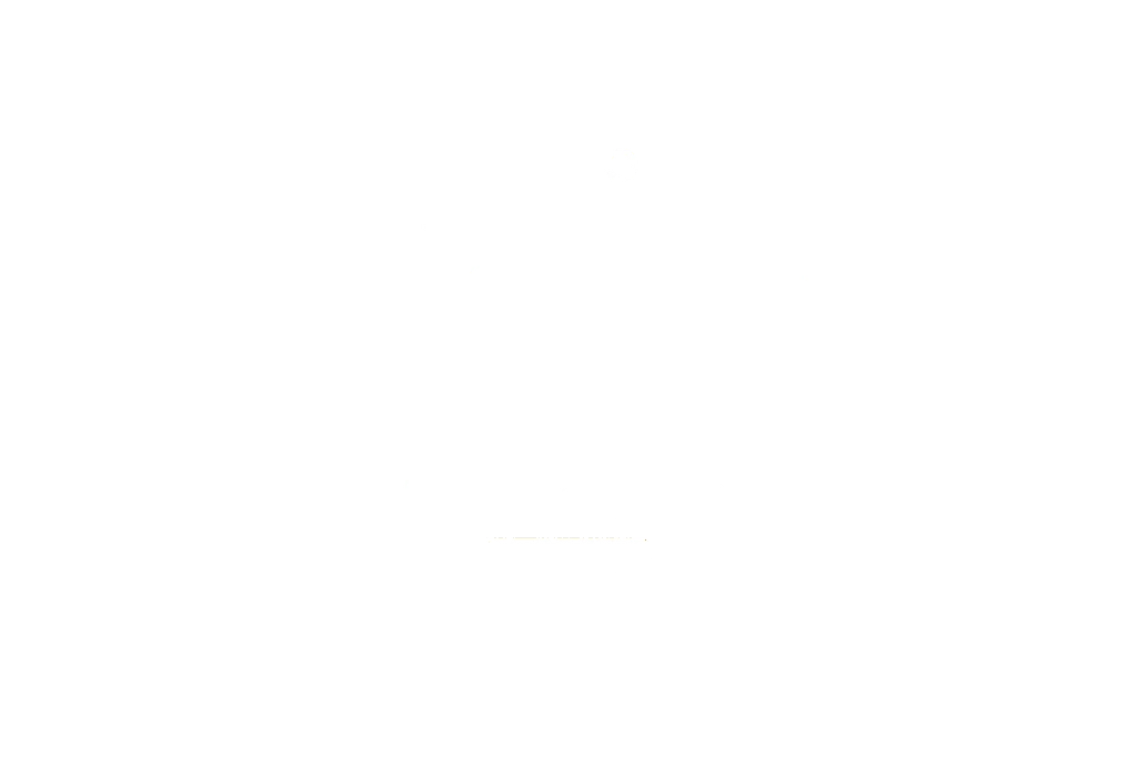 Red Sea Digital